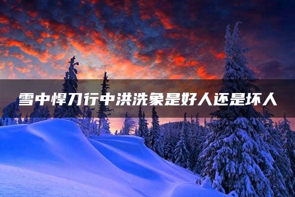 雪中悍刀行中洪洗象是好人还是坏人