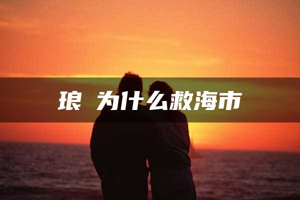 琅嬛为什么救海市