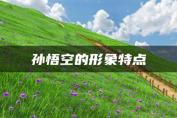 孙悟空的形象特点