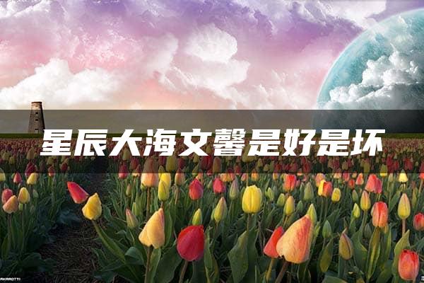 星辰大海文馨是好是坏