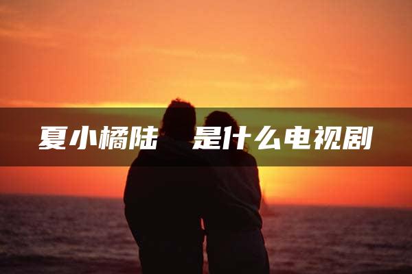 夏小橘陆湜祎是什么电视剧