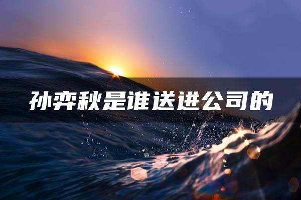 孙弈秋是谁送进公司的