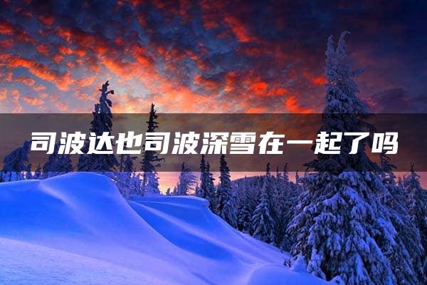 司波达也司波深雪在一起了吗