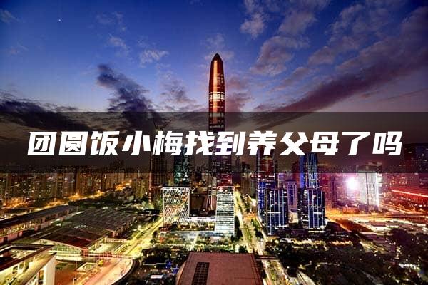 团圆饭小梅找到养父母了吗