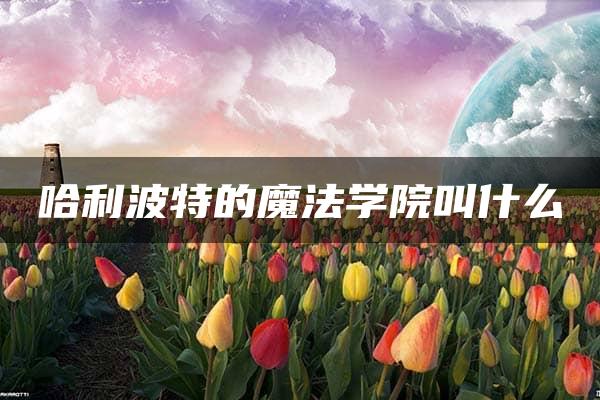 哈利波特的魔法学院叫什么