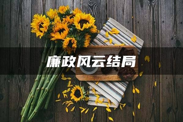 廉政风云结局