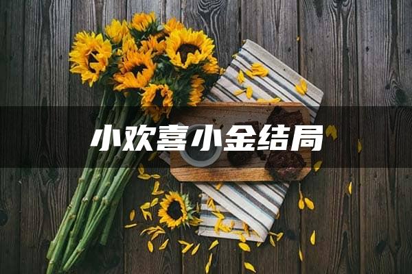 小欢喜小金结局