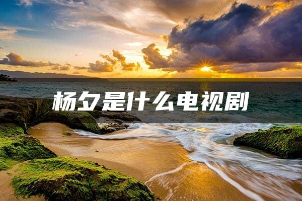 杨夕是什么电视剧