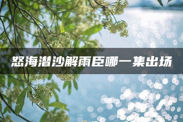 怒海潜沙解雨臣哪一集出场