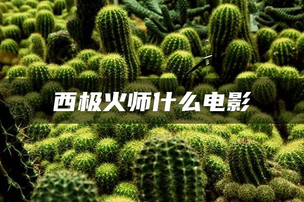 西极火师什么电影