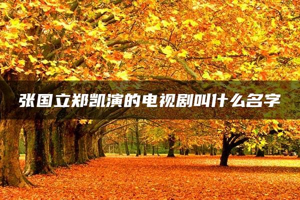 张国立郑凯演的电视剧叫什么名字