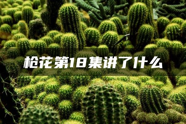 枪花第18集讲了什么