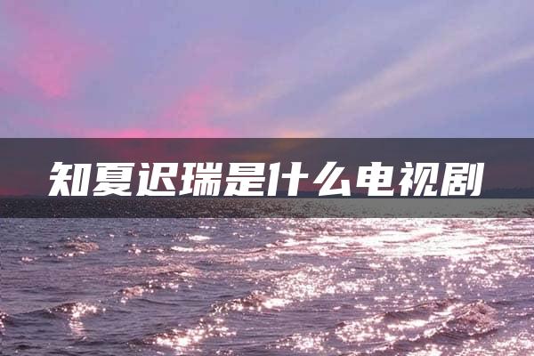 知夏迟瑞是什么电视剧