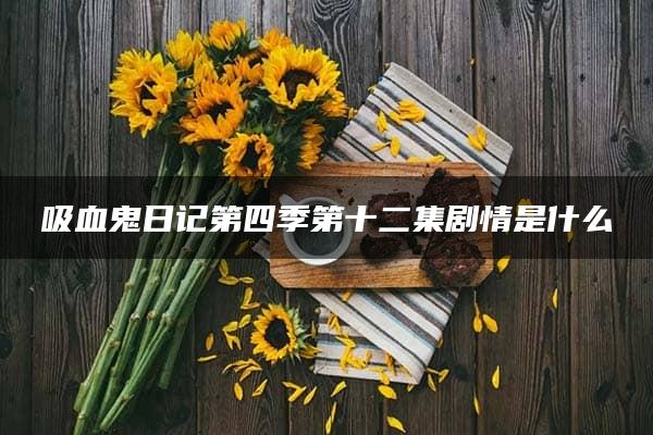 吸血鬼日记第四季第十二集剧情是什么