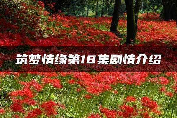 筑梦情缘第18集剧情介绍