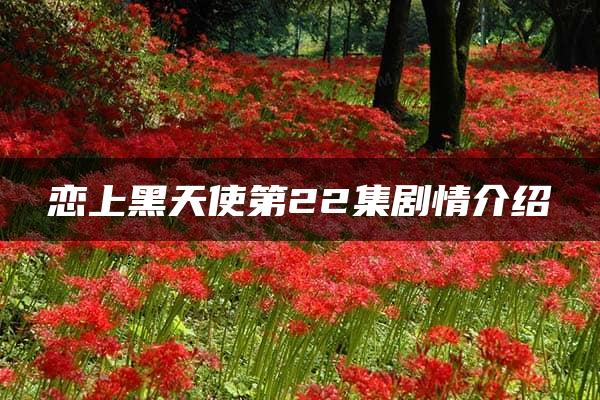 恋上黑天使第22集剧情介绍