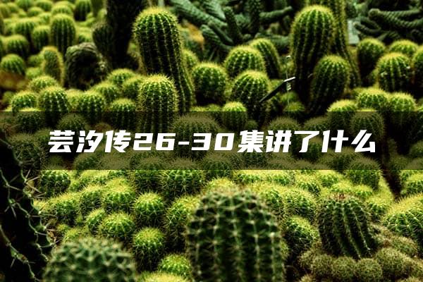 芸汐传26-30集讲了什么