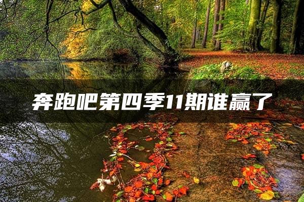 奔跑吧第四季11期谁赢了