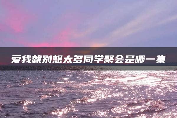 爱我就别想太多同学聚会是哪一集