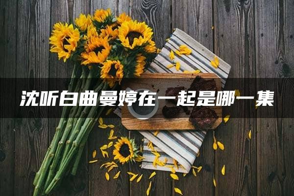 沈听白曲曼婷在一起是哪一集