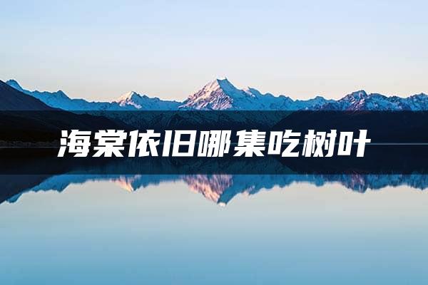 海棠依旧哪集吃树叶