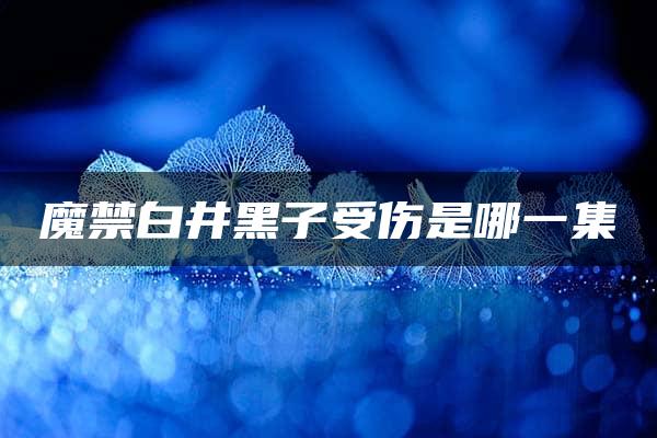 魔禁白井黑子受伤是哪一集