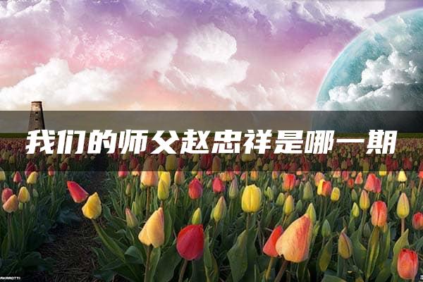 我们的师父赵忠祥是哪一期