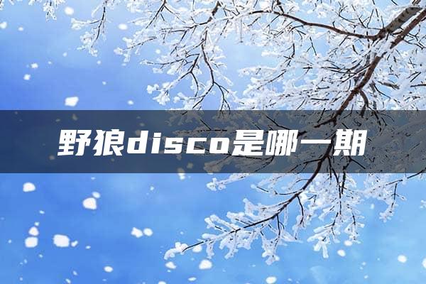 野狼disco是哪一期