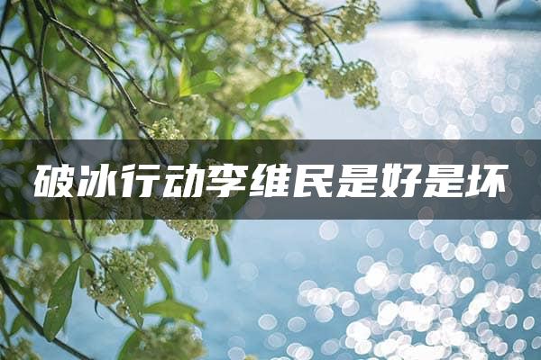 破冰行动李维民是好是坏