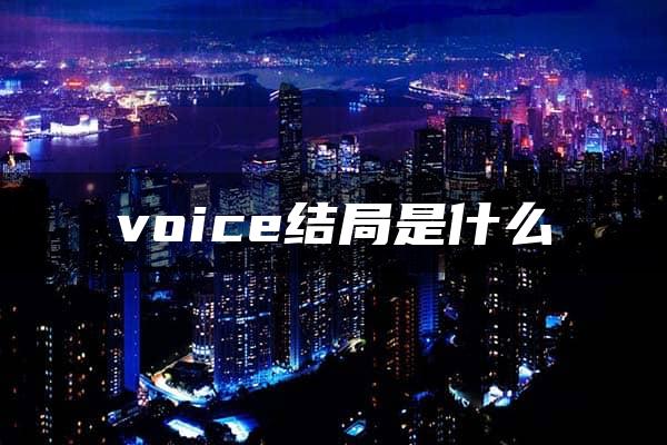 voice结局是什么