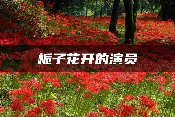 栀子花开的演员