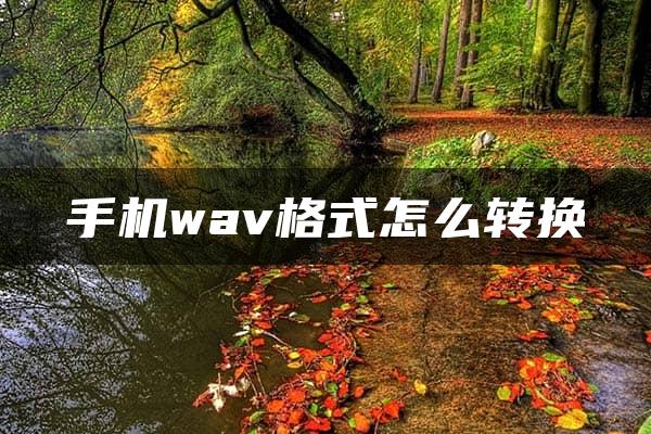 手机wav格式怎么转换