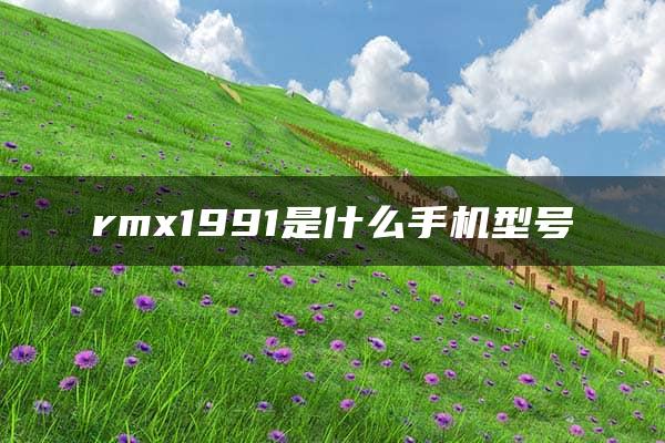 rmx1991是什么手机型号