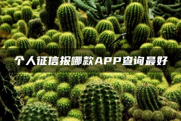 个人征信报哪款APP查询最好