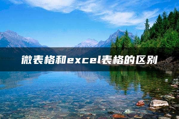 微表格和excel表格的区别