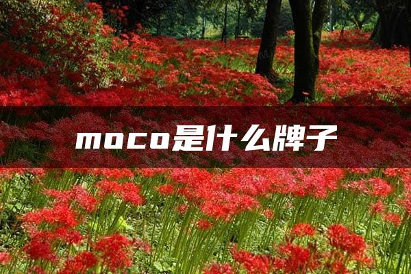 moco是什么牌子