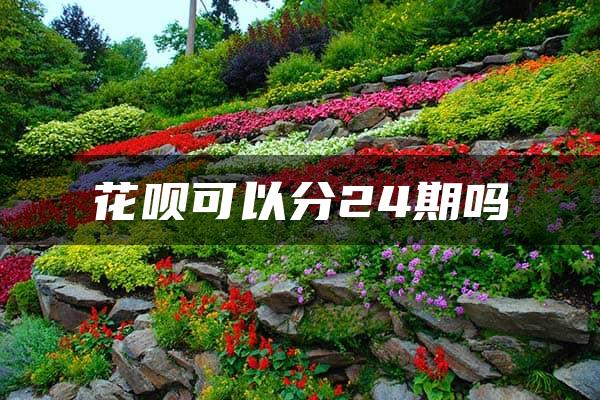 花呗可以分24期吗