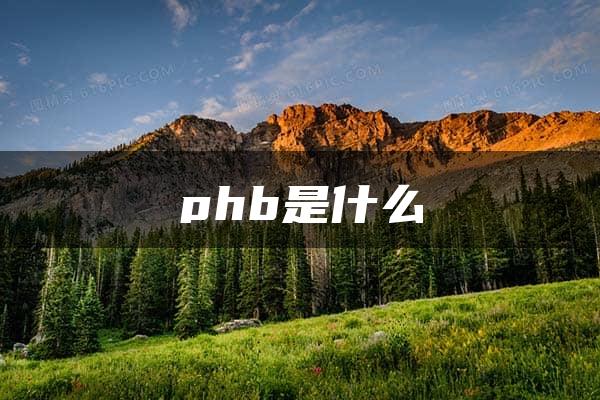 phb是什么