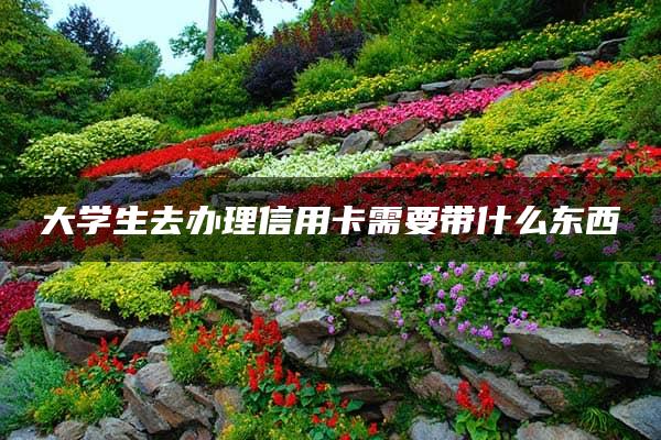 大学生去办理信用卡需要带什么东西