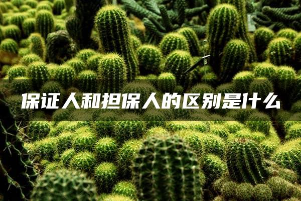 保证人和担保人的区别是什么