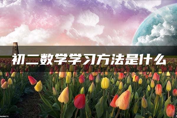 初二数学学习方法是什么