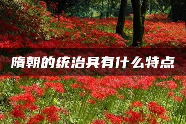 隋朝的统治具有什么特点