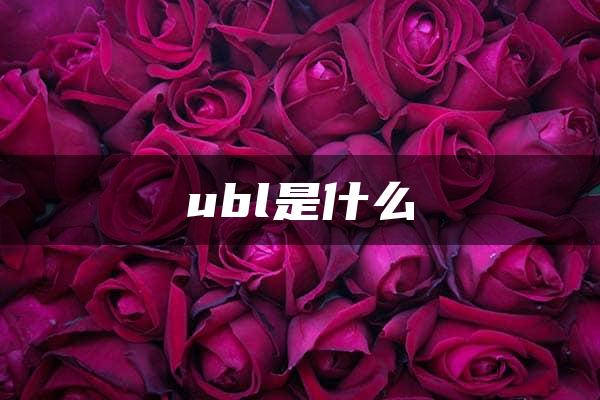 ubl是什么