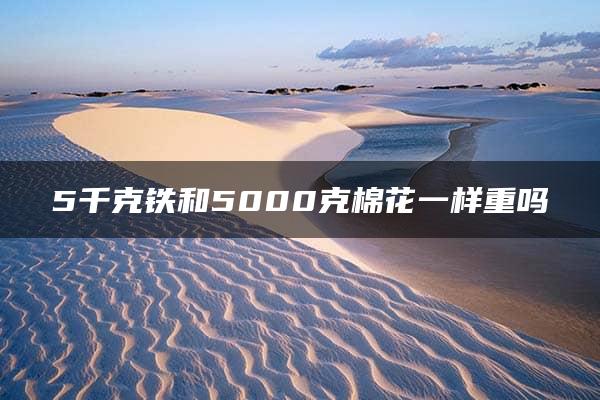 5千克铁和5000克棉花一样重吗