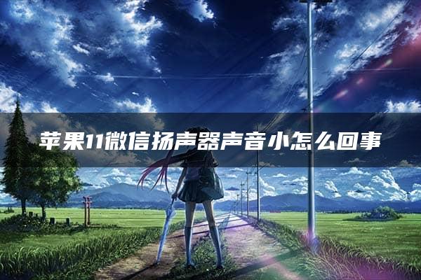 苹果11微信扬声器声音小怎么回事