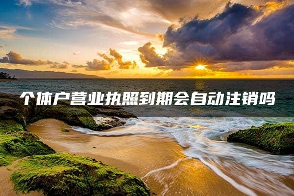 个体户营业执照到期会自动注销吗