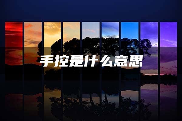 手控是什么意思