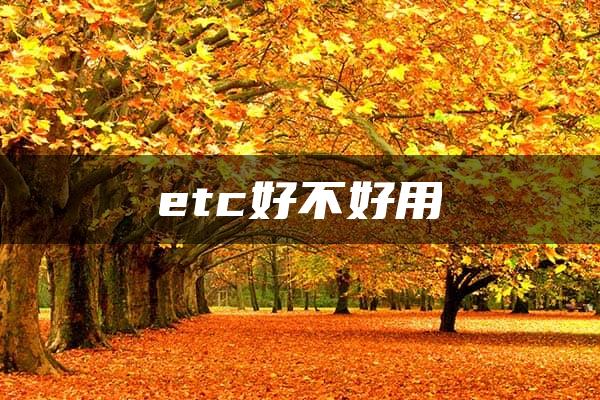 etc好不好用