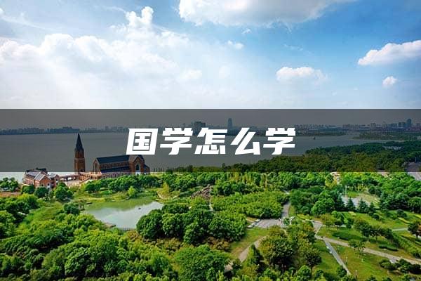 国学怎么学