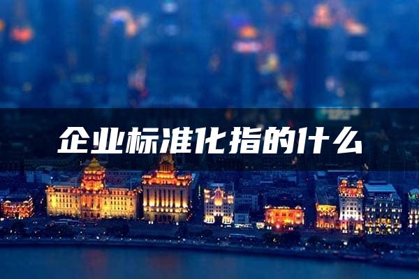 企业标准化指的什么